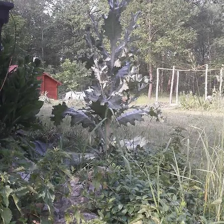 Lesna Domek letniskowy